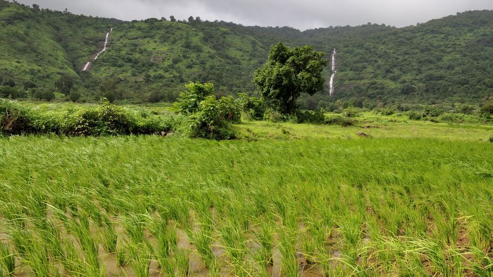 Photo of Absolutely Amazing Gateway for the Weekend - Khandi Waterfall, Pune. #tripotocommunity 3/4 by Arpit Gupta