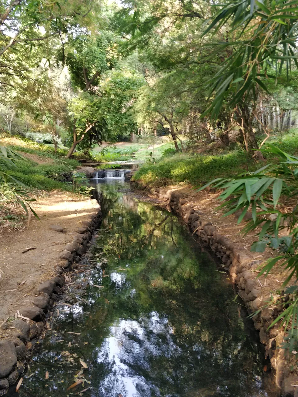 Photo of Osho Garden, Gopal Rao Bevur Road, Iricen Railway Colony, Koregaon Park, Pune, Maharashtra, India by Arpit Gupta