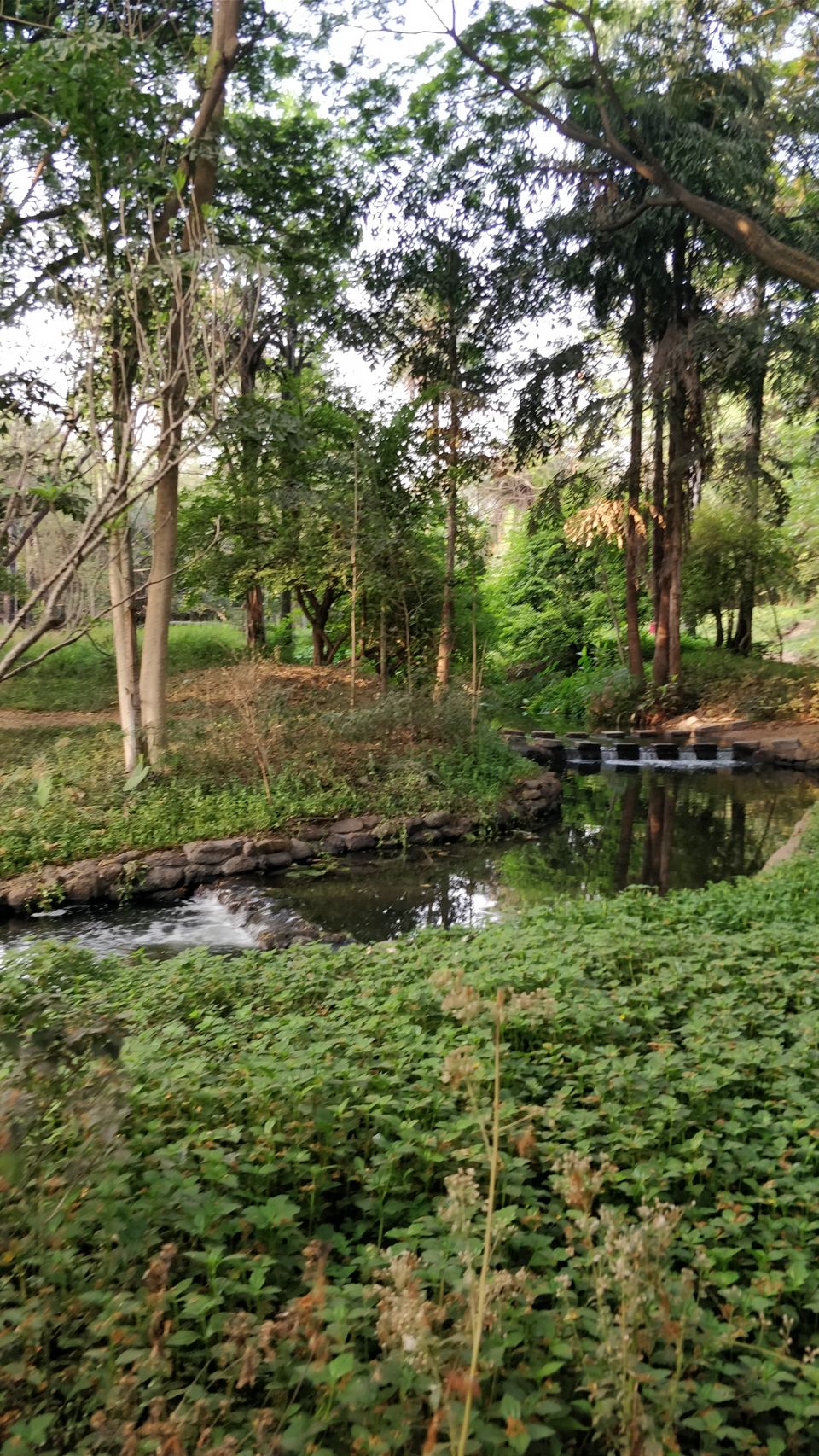 Photo of Fresh, Peaceful and Calm Place - Osho Garden, Pune. #tripotocommunity by Arpit Gupta