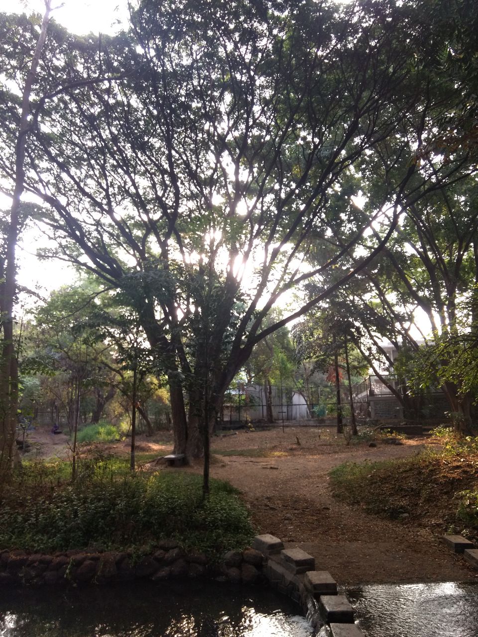 Photo of Fresh, Peaceful and Calm Place - Osho Garden, Pune. #tripotocommunity by Arpit Gupta