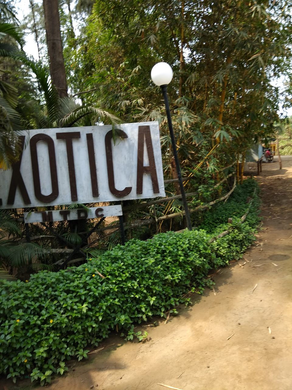 Photo of Water Sports Paradise in Maharashtra - Diveagar Beach. #tripotocommunity 7/8 by Arpit Gupta
