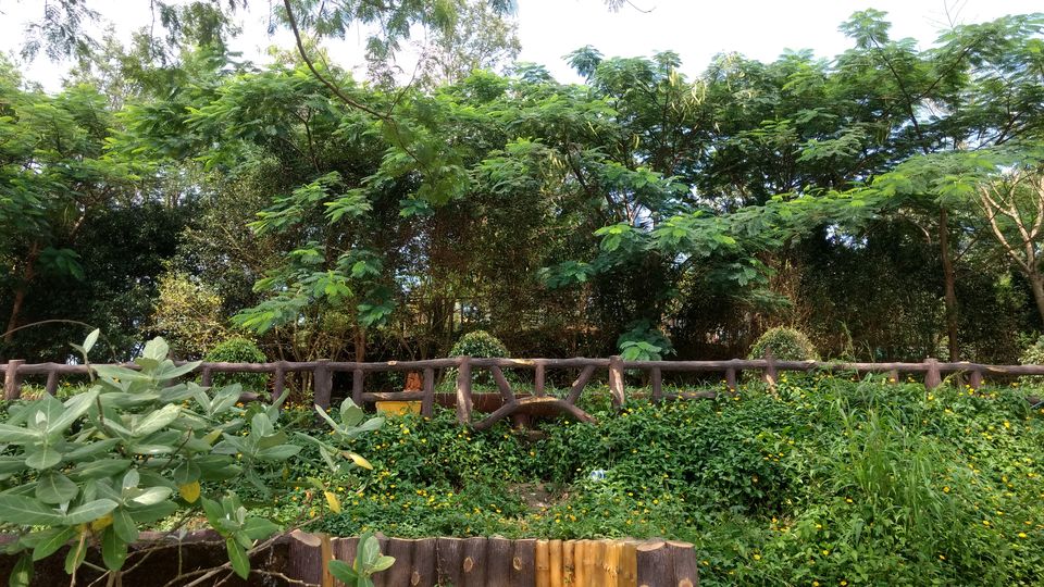 Photo of Nature Lover and Unexplored Destination - Kamshet, Pune. #tripotocommunity 6/13 by Arpit Gupta