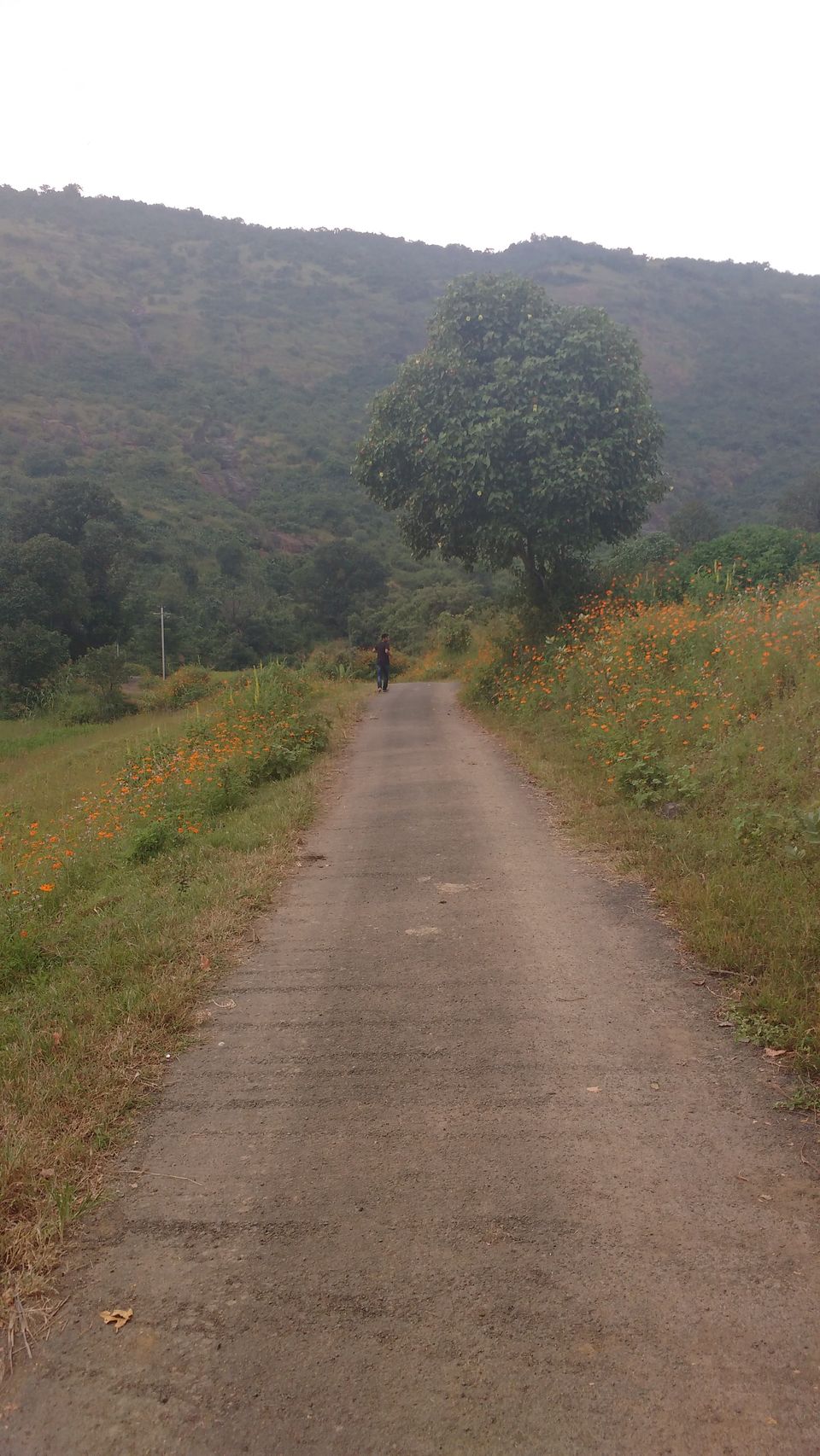 Photo of Nature Lover and Unexplored Destination - Kamshet, Pune. #tripotocommunity 8/13 by Arpit Gupta
