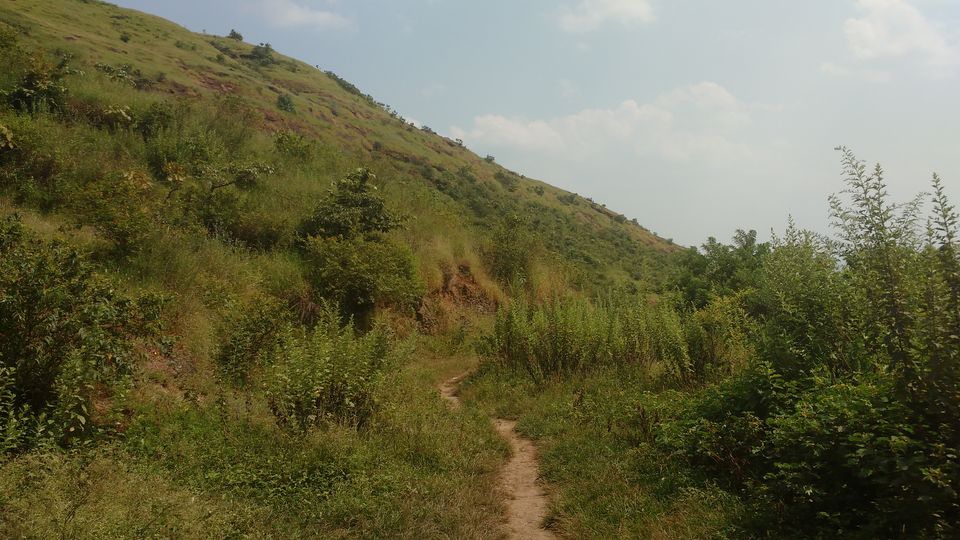 Photo of Nature Lover and Unexplored Destination - Kamshet, Pune. #tripotocommunity 12/13 by Arpit Gupta
