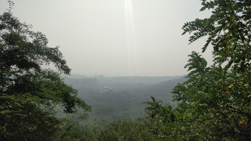 Photo of Mesmerizing Natural Beauty in the Midst of the City - Vetal Tekdi. 2/9 by Arpit Gupta