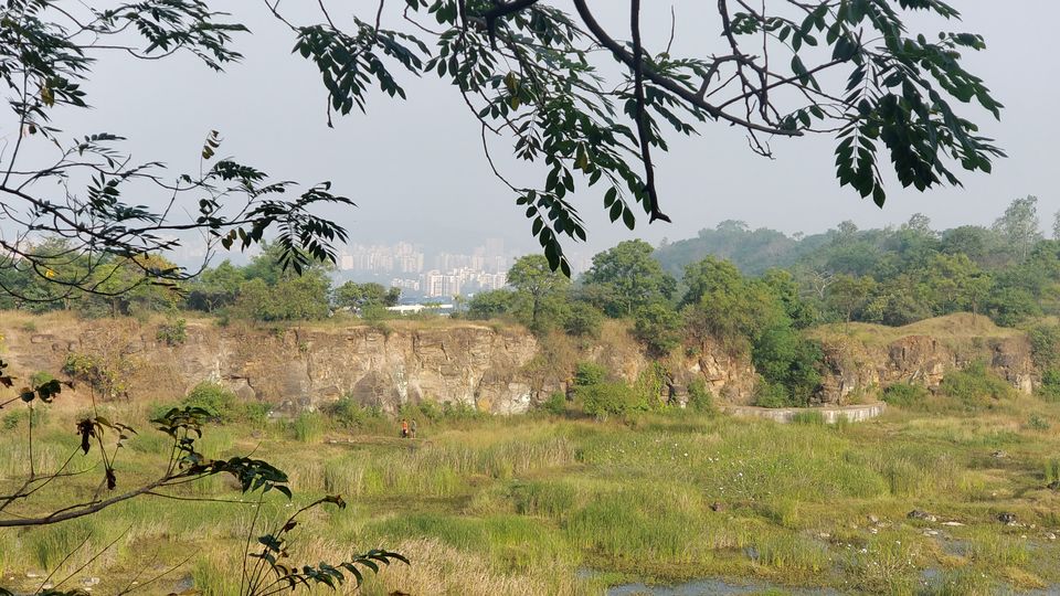 Photo of Mesmerizing Natural Beauty in the Midst of the City - Vetal Tekdi. 7/9 by Arpit Gupta