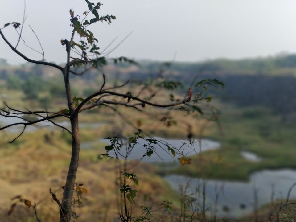 Photo of Mesmerizing Natural Beauty in the Midst of the City - Vetal Tekdi. 8/9 by Arpit Gupta