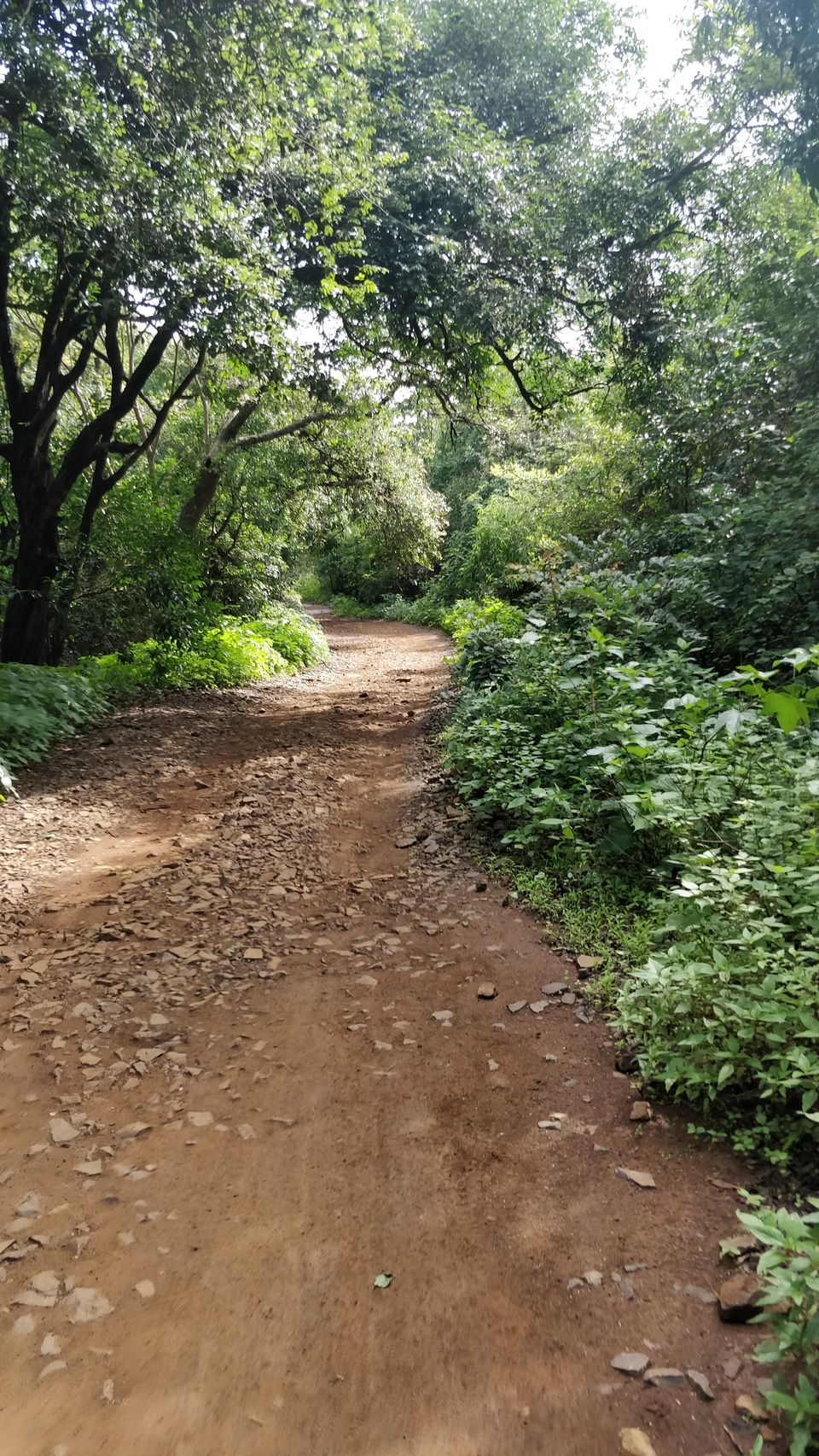 Photo of Must Visit Place in Monsoon - Rajmachi Fort, Pune. #tripotocommunity 6/16 by Arpit Gupta