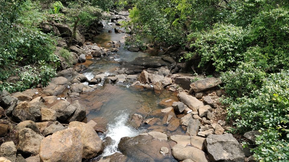 Photo of Must Visit Place in Monsoon - Rajmachi Fort, Pune. #tripotocommunity 5/16 by Arpit Gupta