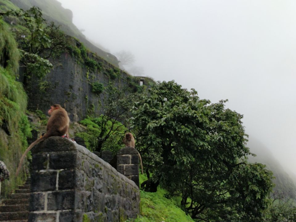 Photo of Cool & Mermerizing Trip to Lohagad Fort. #tripotocommunity 10/12 by Arpit Gupta