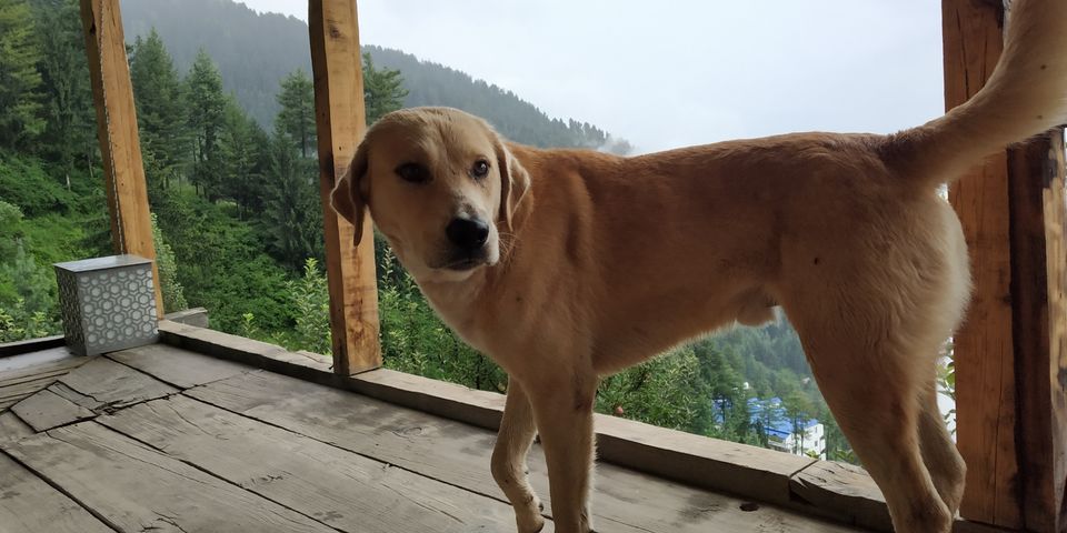 Photo of Fun in kullu Manali hamta by Dinesh Pathak