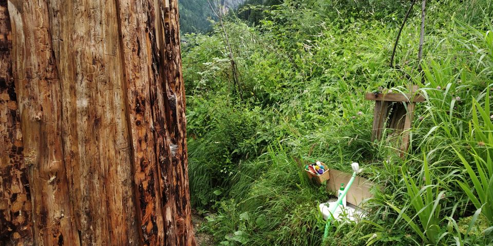 Photo of Fun in kullu Manali hamta by Dinesh Pathak