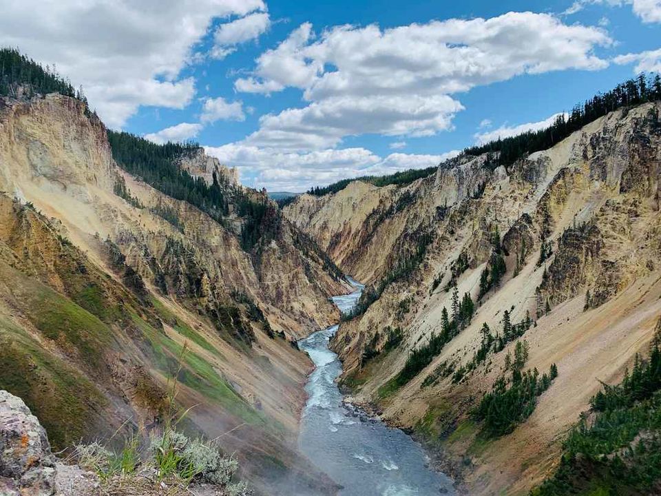 Photo of Geysers and Wildlife- Yellowstone National Park AND Grand Teton National Park by Adrita Khaund