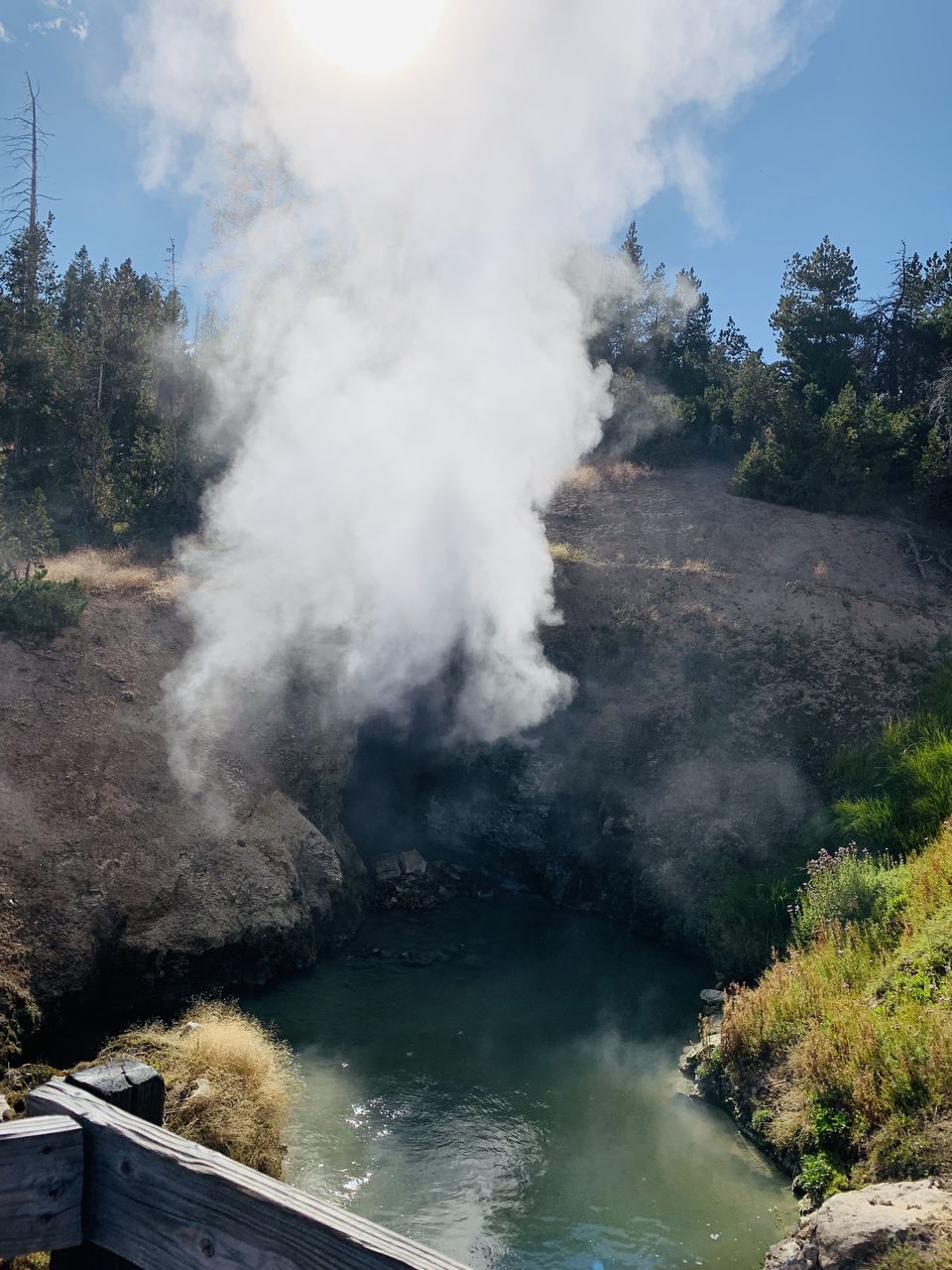 Photo of Geysers and Wildlife- Yellowstone National Park AND Grand Teton National Park by Adrita Khaund