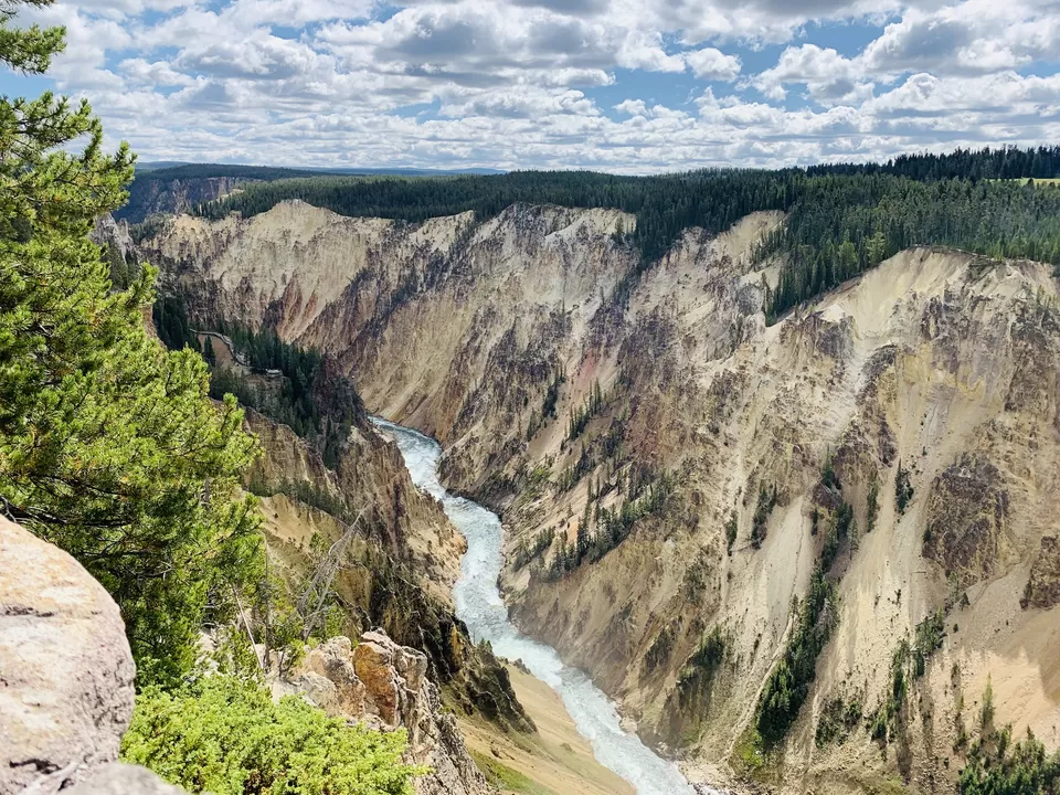 Photo of Geysers and Wildlife- Yellowstone National Park AND Grand Teton National Park by Adrita Khaund