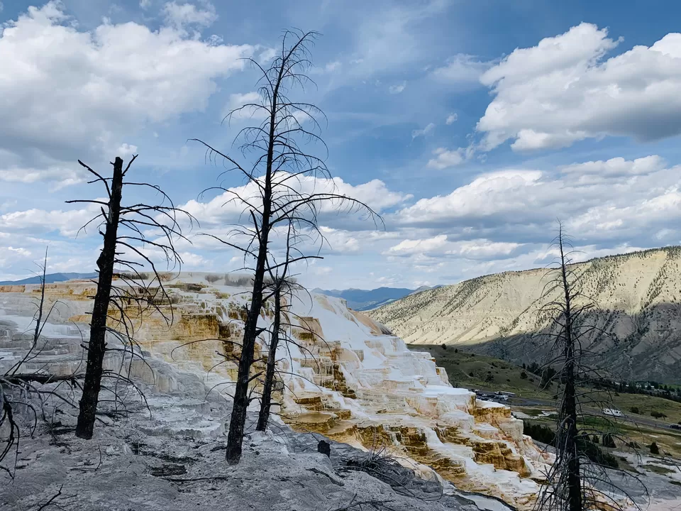 Photo of Geysers and Wildlife- Yellowstone National Park AND Grand Teton National Park by Adrita Khaund