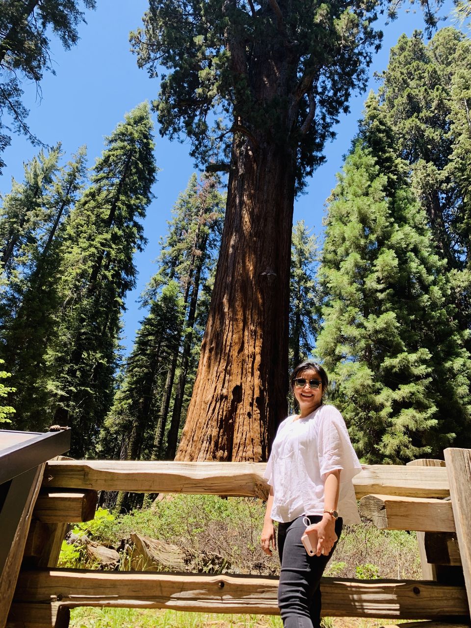 Photo of A California road trip from Seattle - Sequoia & Kings Canyon National Park, Yosemite National Park by Adrita Khaund