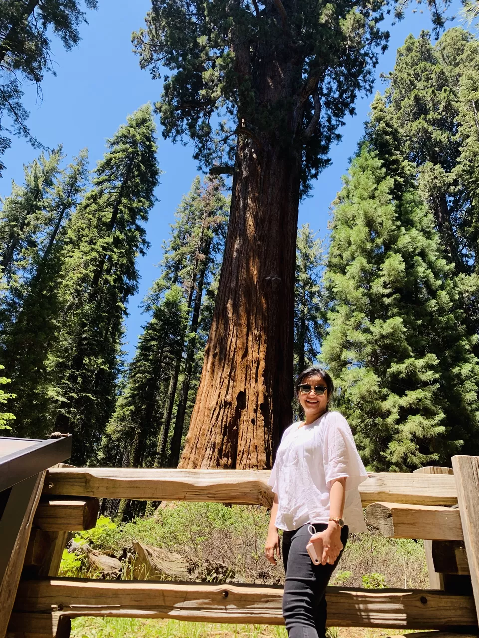 Photo of A California road trip from Seattle - Sequoia & Kings Canyon National Park, Yosemite National Park by Adrita Khaund