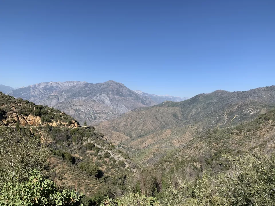 Photo of A California road trip from Seattle - Sequoia & Kings Canyon National Park, Yosemite National Park by Adrita Khaund