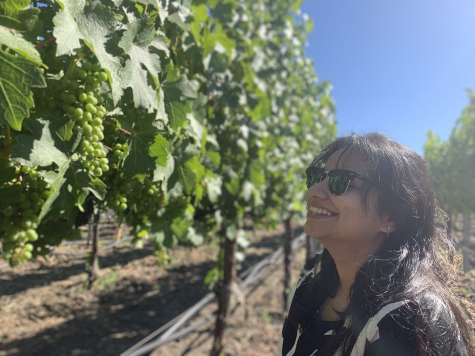 Photo of Napa, CA, USA by Adrita Khaund