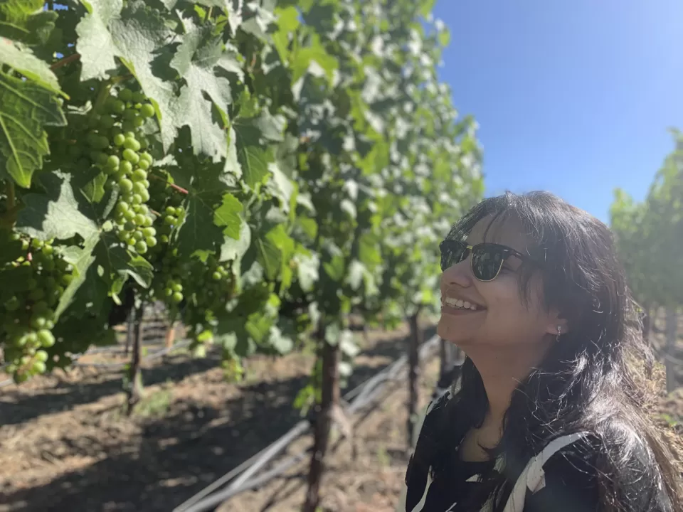 Photo of Napa, CA, USA by Adrita Khaund