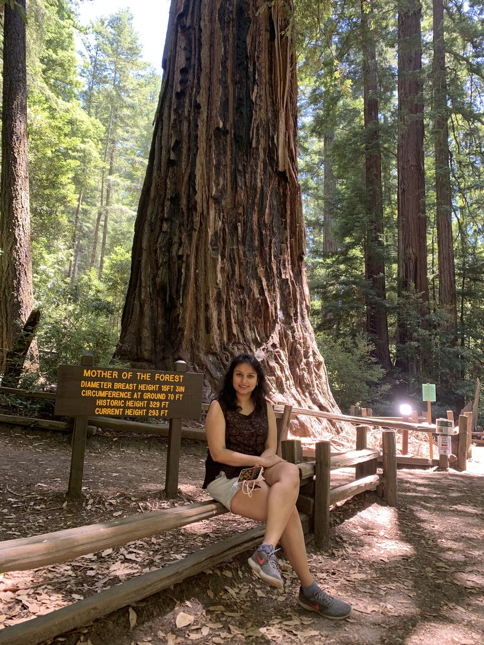 Photo of Big Basin Redwoods State Park, Big Basin Way, Boulder Creek, CA, USA by Adrita Khaund