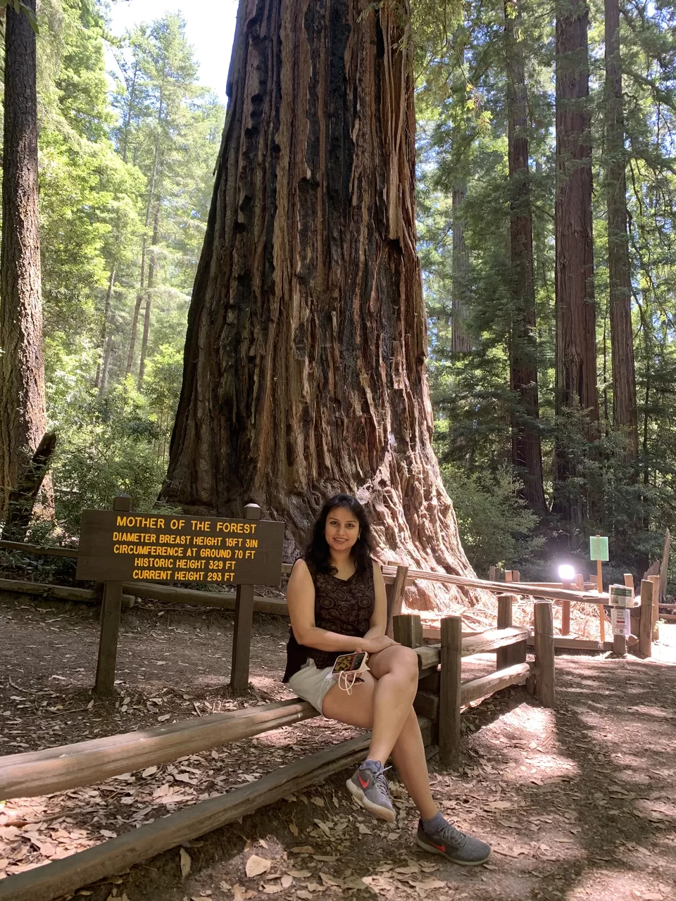 Photo of Big Basin Redwoods State Park, Big Basin Way, Boulder Creek, CA, USA by Adrita Khaund