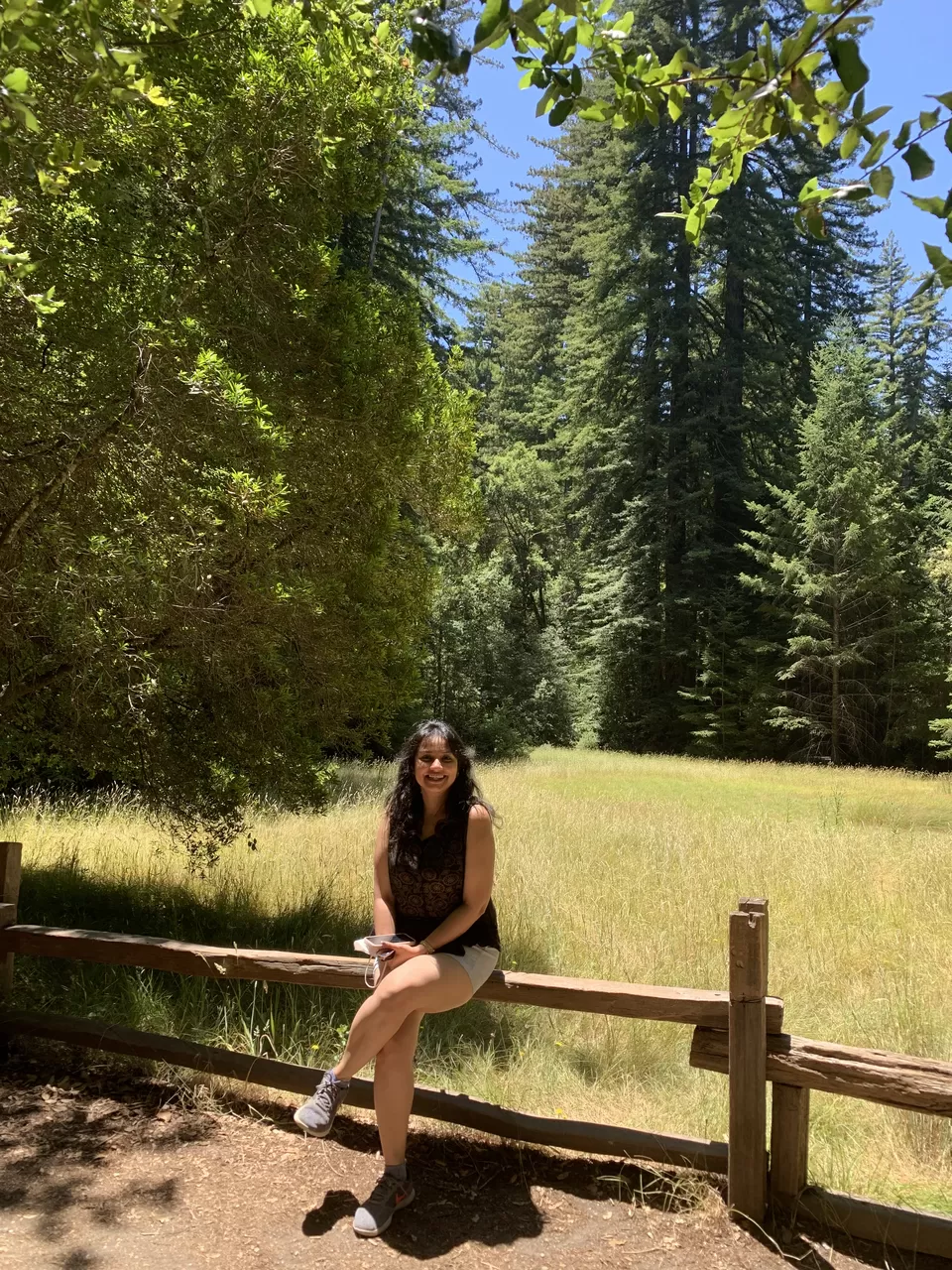 Photo of Big Basin Redwoods State Park, Big Basin Way, Boulder Creek, CA, USA by Adrita Khaund