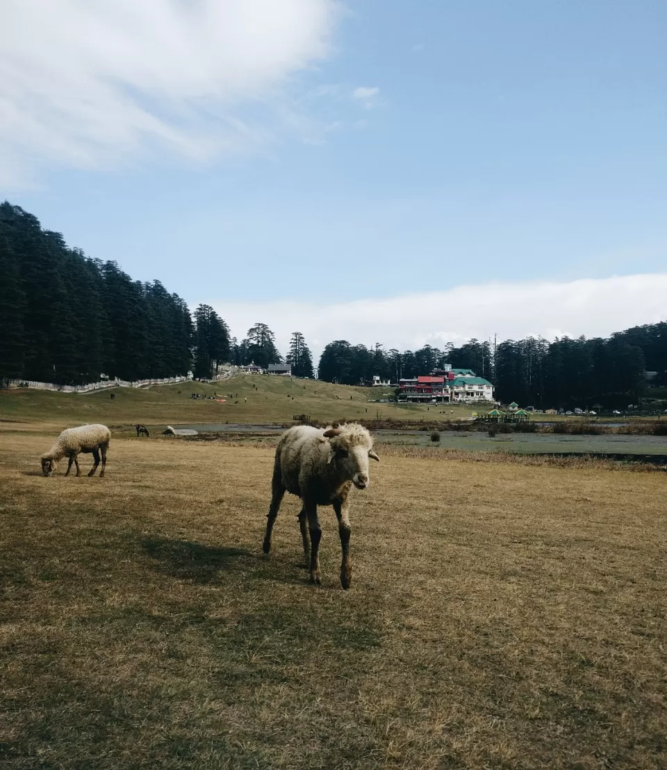 Photo of Khajjiar Lake, Khajjiar, Himachal Pradesh by Barsa Das