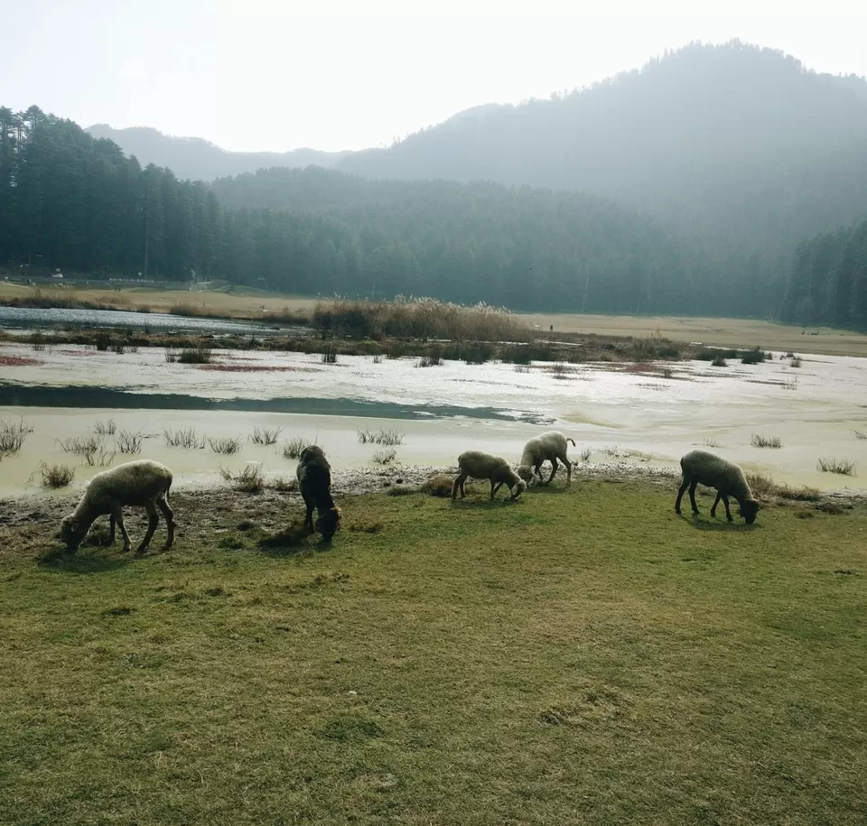 Photo of Khajjiar Lake, Khajjiar, Himachal Pradesh by Barsa Das