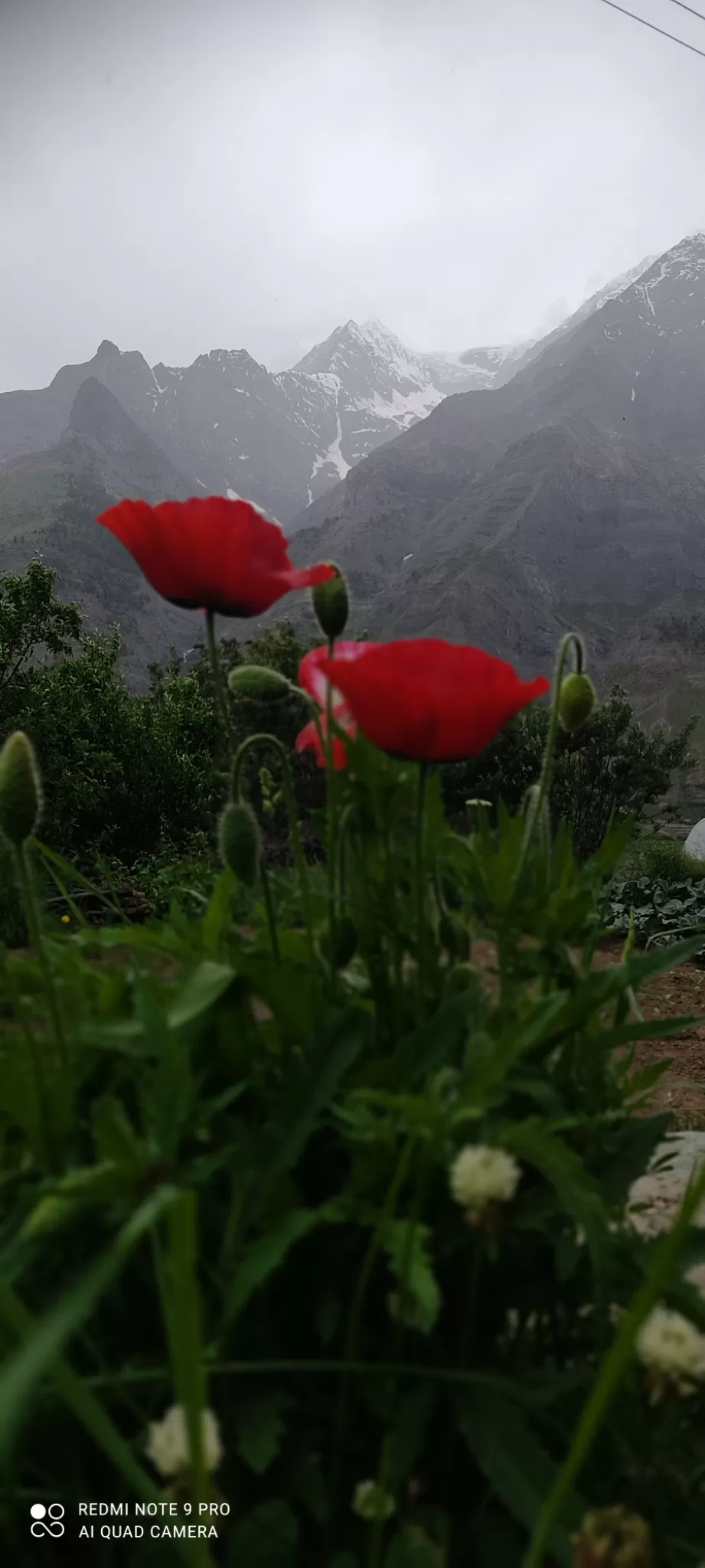 Photo of Don't plan a trip to Lahaul before you read this by Megha Rana