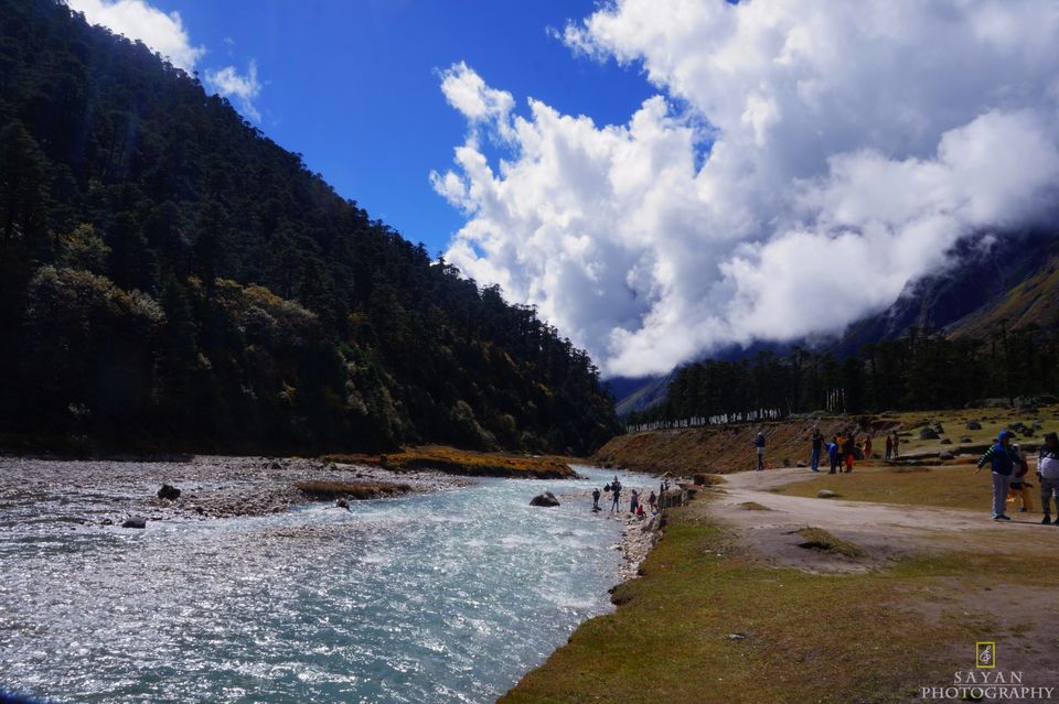 Photo of Yumthang Valley by Sayan Majhi