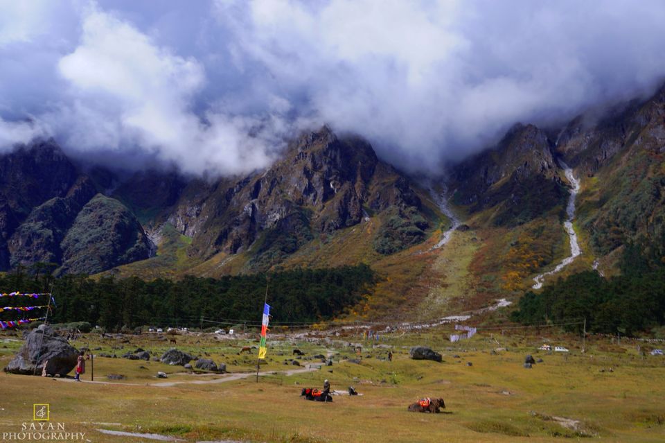 Photo of Yumthang Valley by Sayan Majhi