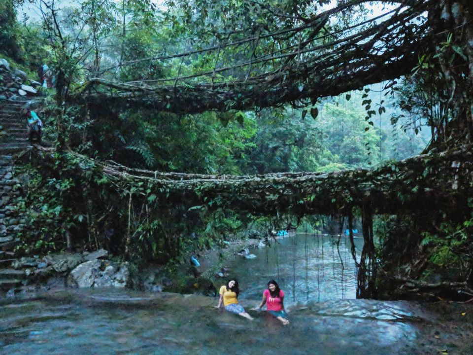 Photo of Meghalaya – How I fell in love with rain! 4/4 by Shristi Dang