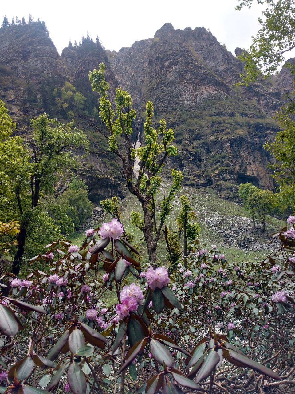 Photo of The Ultimate therapy......RUPIN PASS 45/82 by Sally Lopes