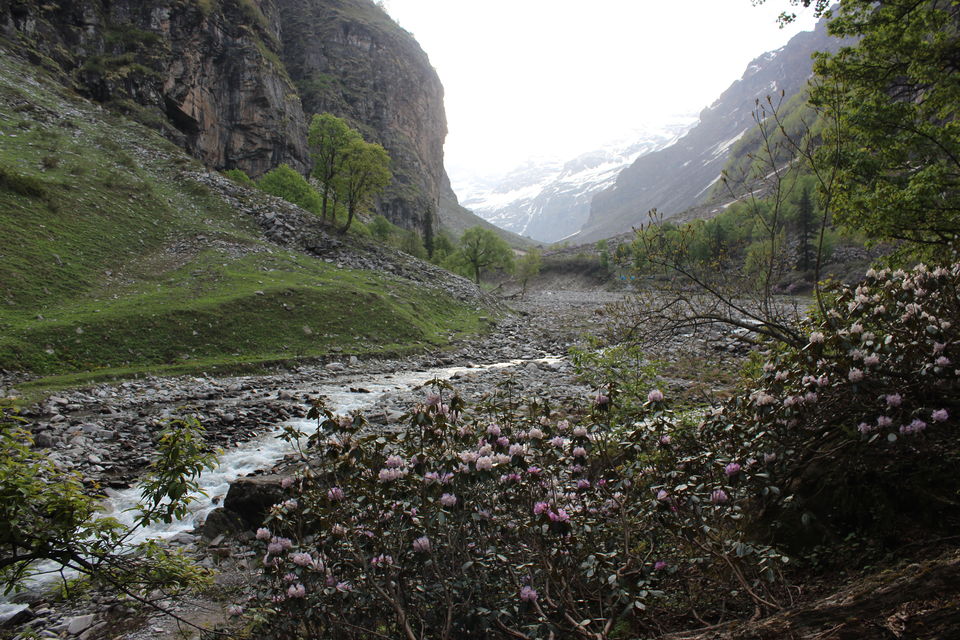 Photo of The Ultimate therapy......RUPIN PASS 49/82 by Sally Lopes