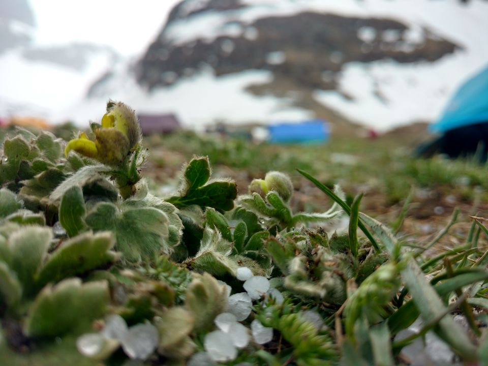 Photo of The Ultimate therapy......RUPIN PASS 58/82 by Sally Lopes