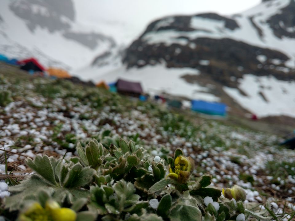 Photo of The Ultimate therapy......RUPIN PASS 57/82 by Sally Lopes