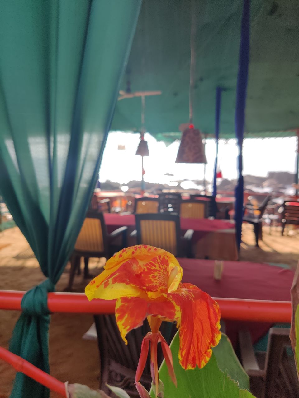 Photo of Lost in Goa by Sindhu Acharya