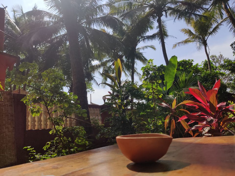 Photo of Lost in Goa by Sindhu Acharya