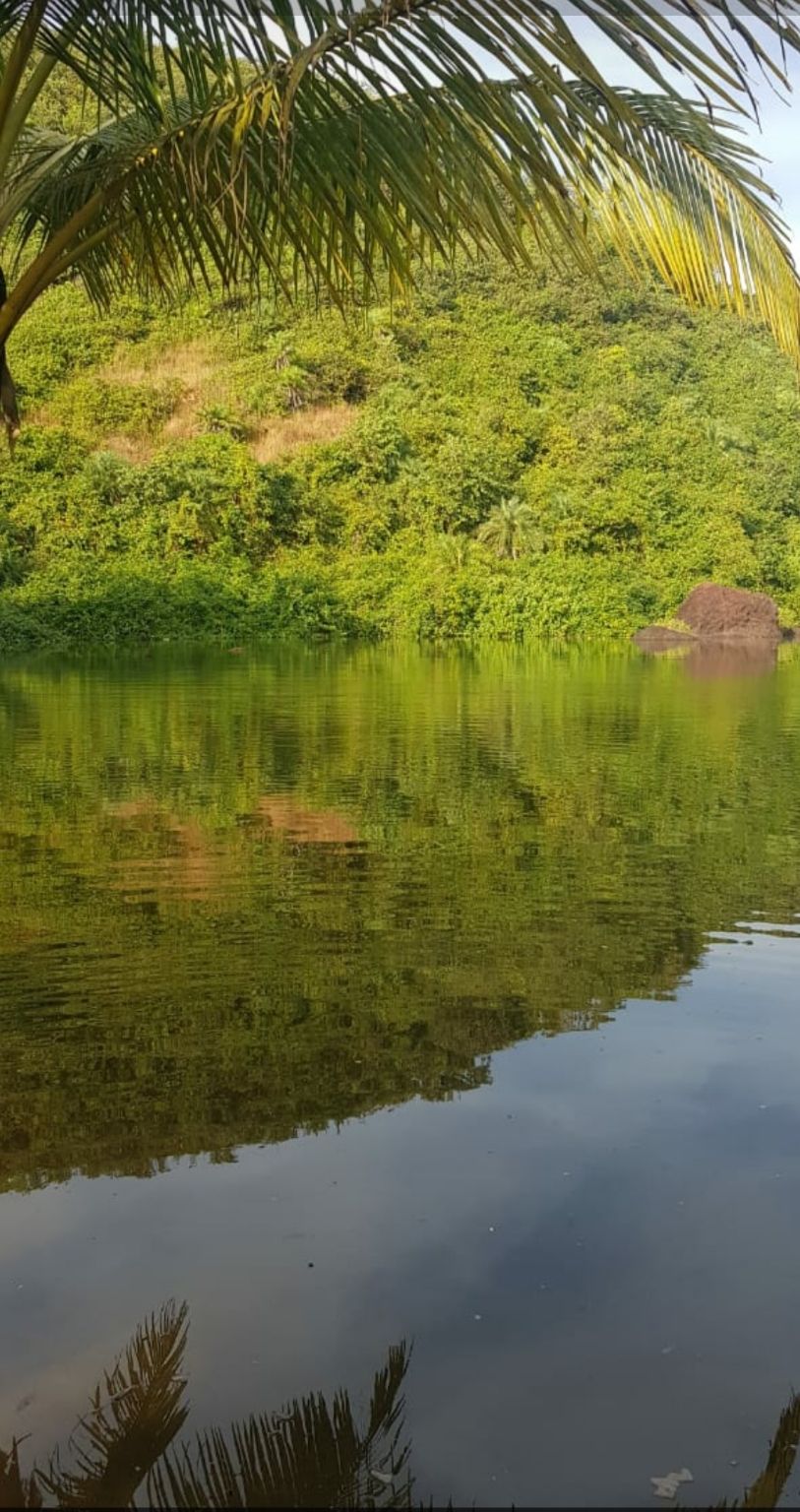 Photo of Lost in Goa by Sindhu Acharya