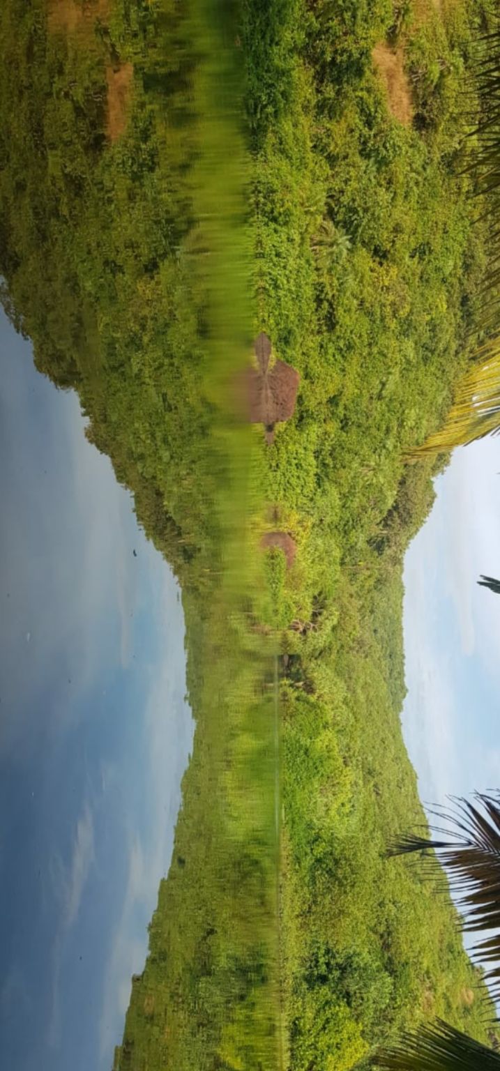 Photo of Lost in Goa by Sindhu Acharya