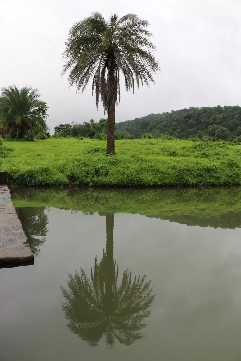 Photo of Igatpuri, Maharashtra, India by Farah Pavri