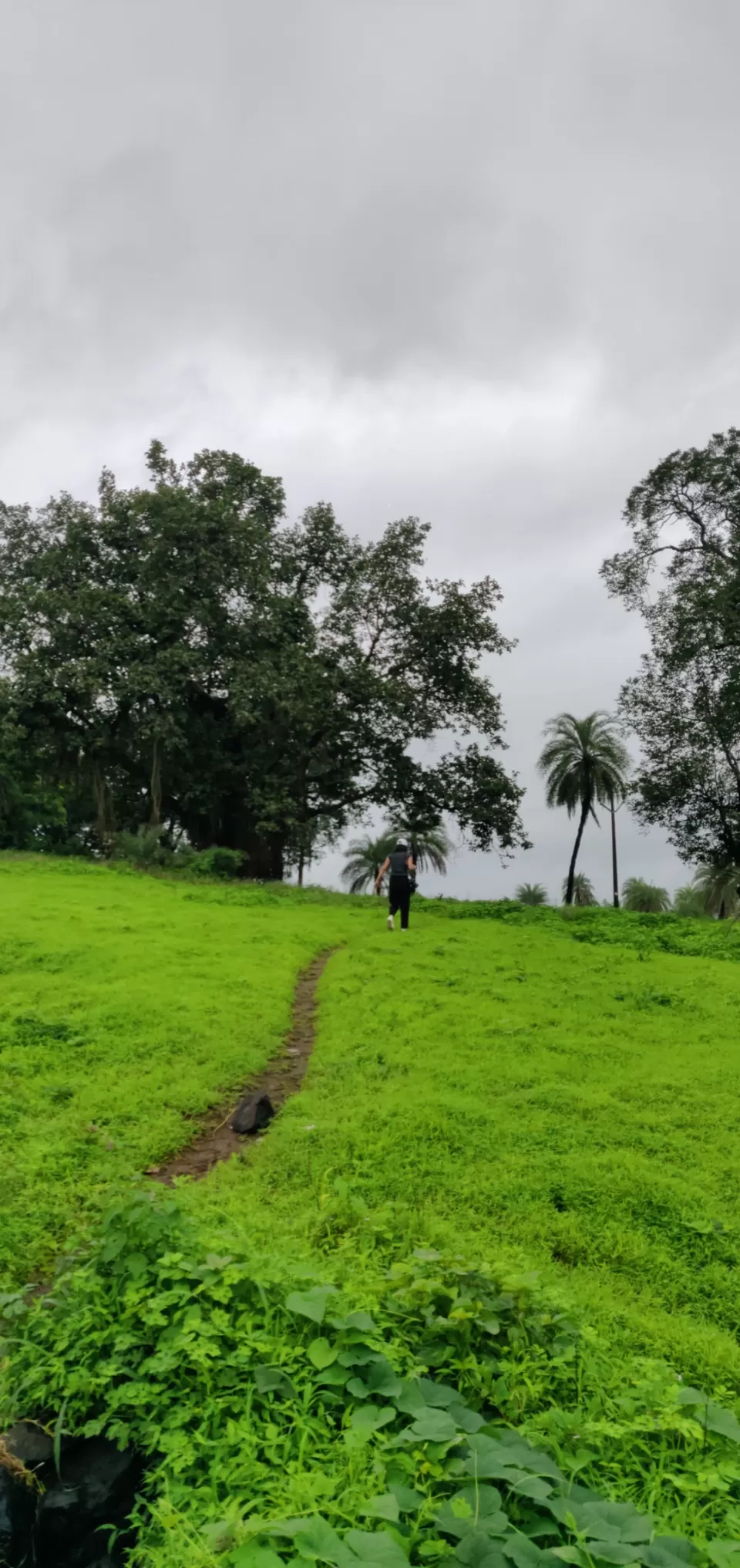 Photo of Igatpuri, Maharashtra, India by Farah Pavri