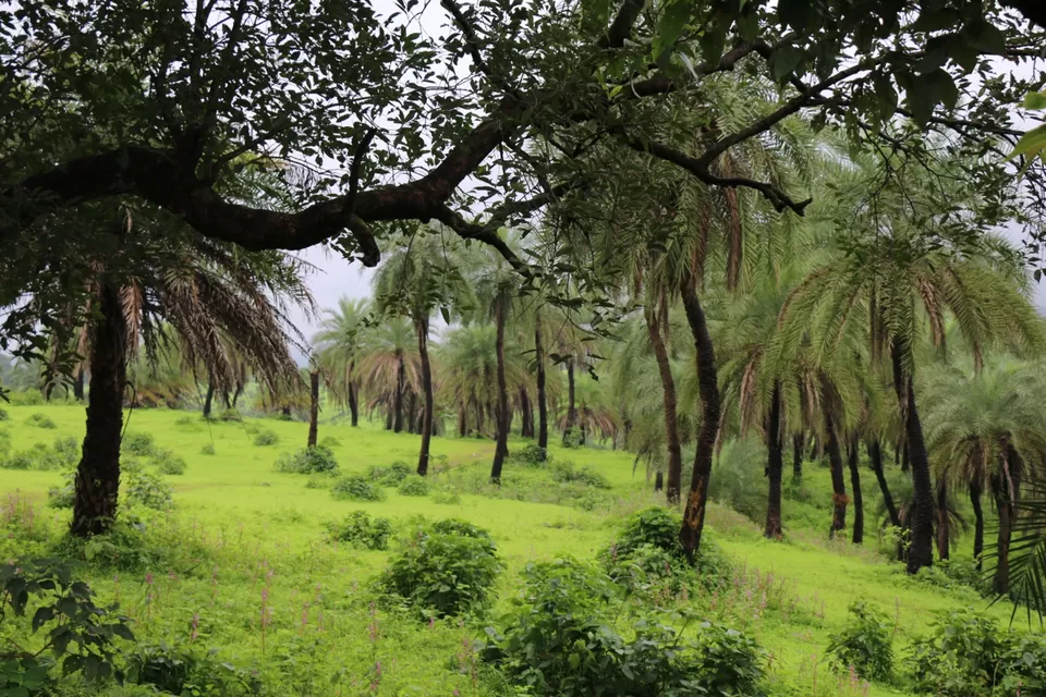 Photo of Igatpuri, Maharashtra, India by Farah Pavri