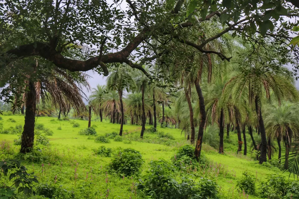 Photo of Igatpuri, Maharashtra, India by Farah Pavri