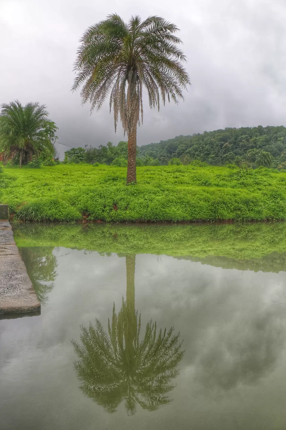 Photo of Igatpuri, Maharashtra, India by Farah Pavri