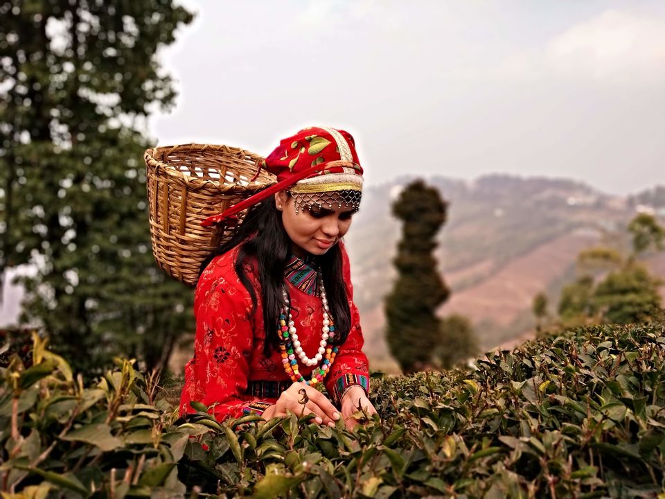 Photo of Darjeeling, West Bengal, India by Abhiman Kokate