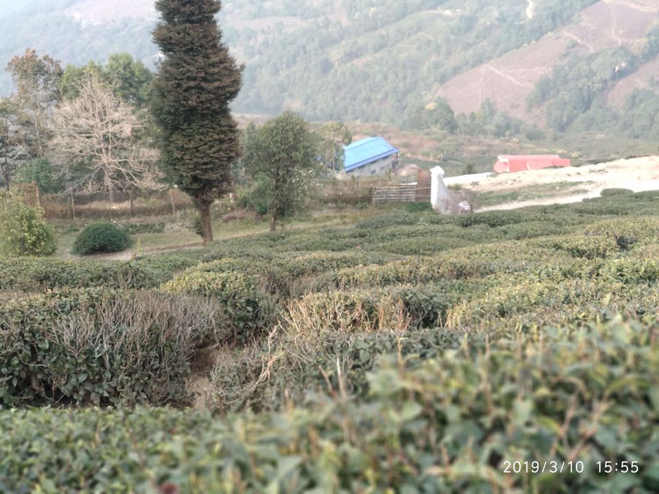 Photo of Darjeeling, West Bengal, India by Abhiman Kokate