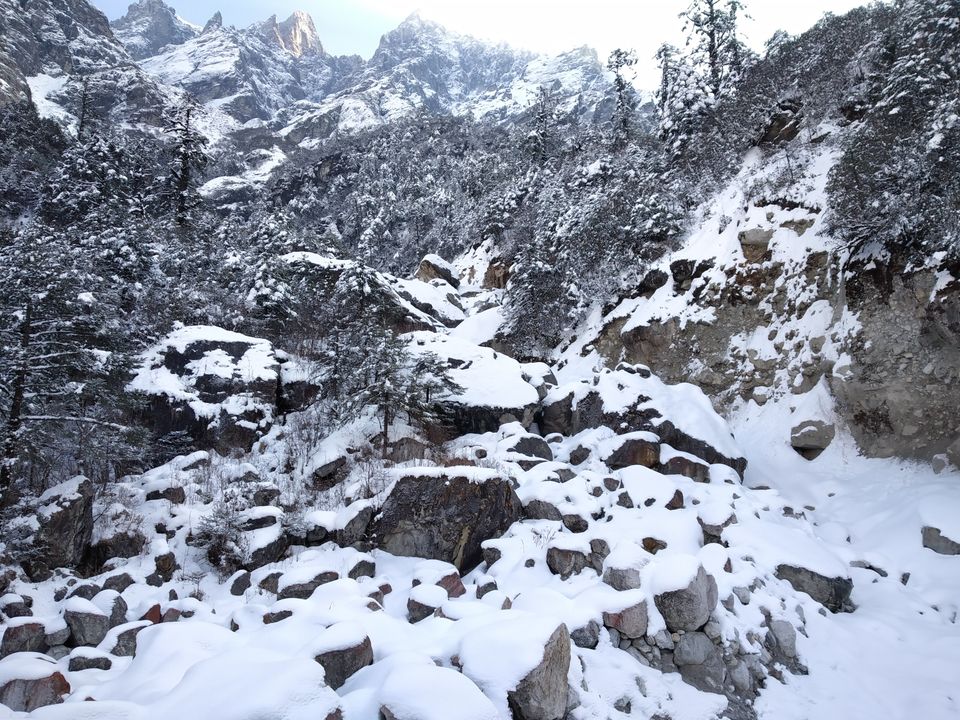 Photo of Zero Point Yumthang Valley, Sikkim, India by Abhiman Kokate